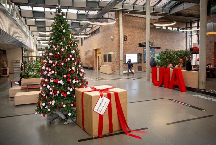 A giant Christmas present measuring 1×1×1 metres under a Christmas tree at Campus Kristiansand.