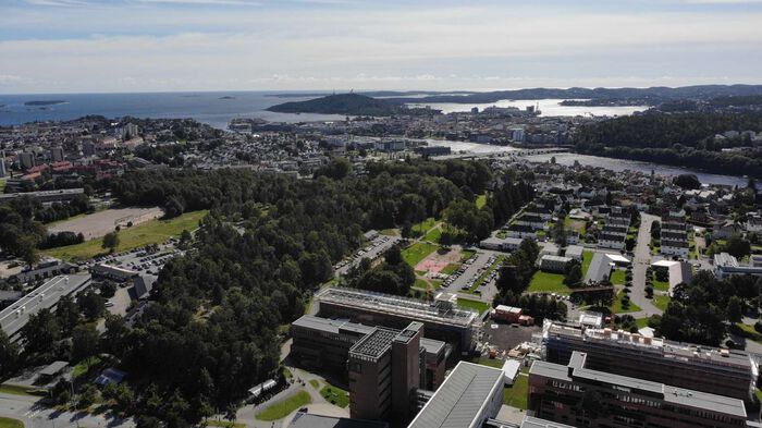 Dronebilde av Universitet i Agder campus Kristiansand, med byen i bakgrunn.