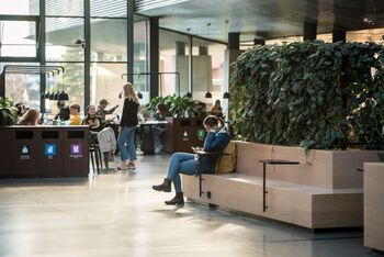 Bildet kan inneholde: anlegg, møbler, sofa, stueplante, interiørdesign.