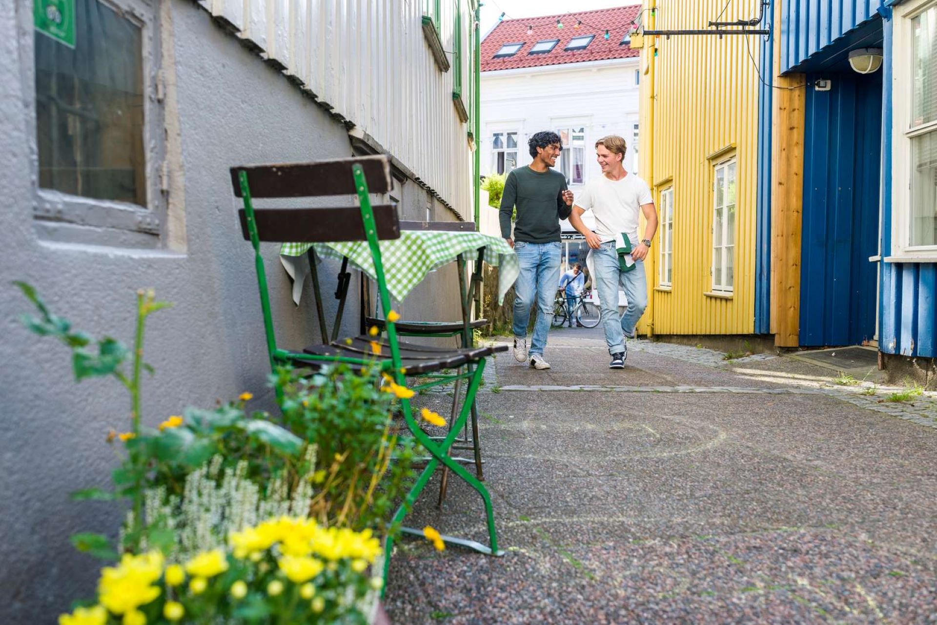 Bildet kan inneholde: blomst, anlegg, bygning, grønn, vindu.