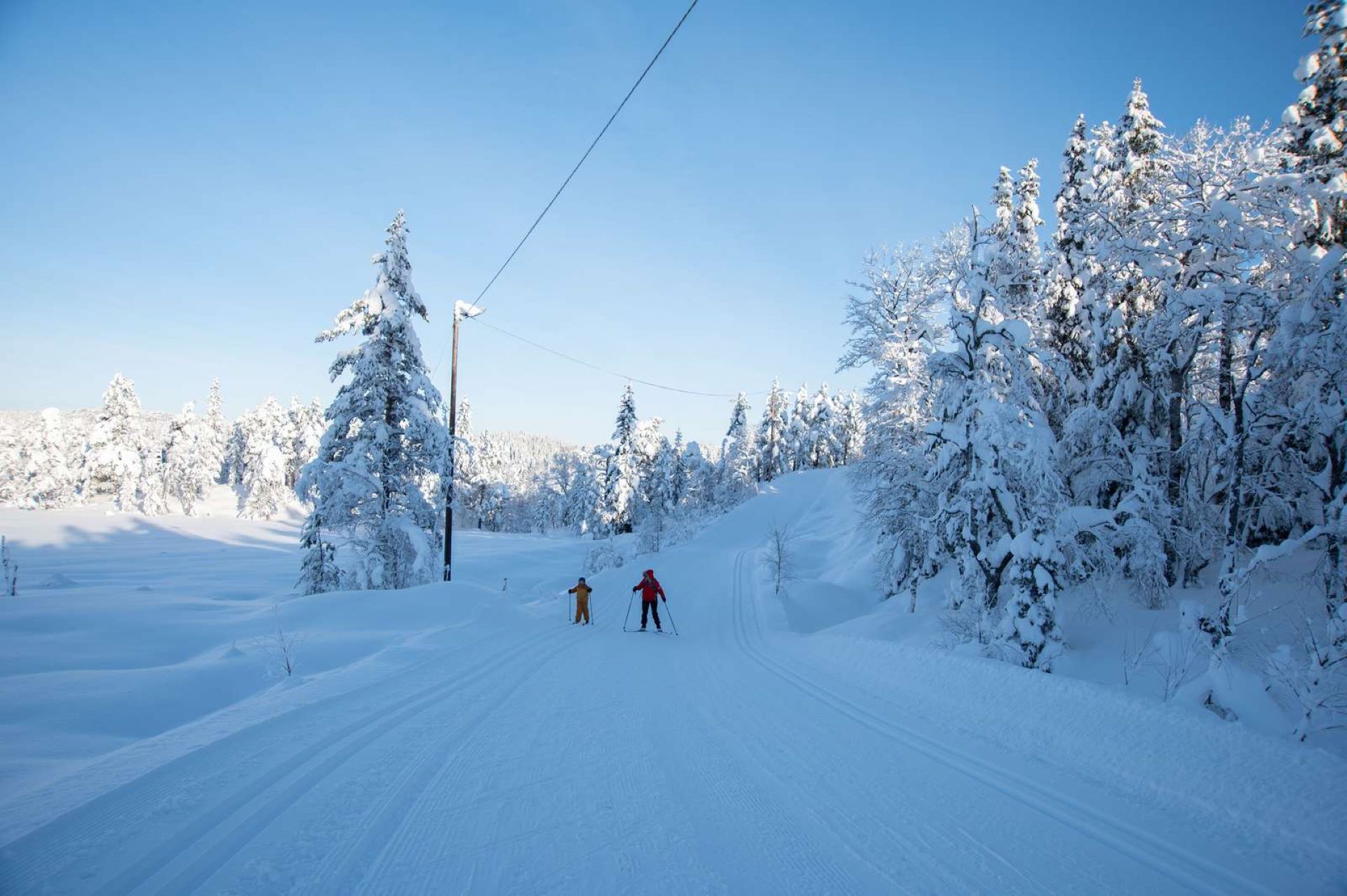 Bildet kan inneholde: himmel, snø, skråningen, tre, friluftsliv.