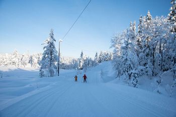 Bildet kan inneholde: himmel, snø, skråningen, tre, friluftsliv.