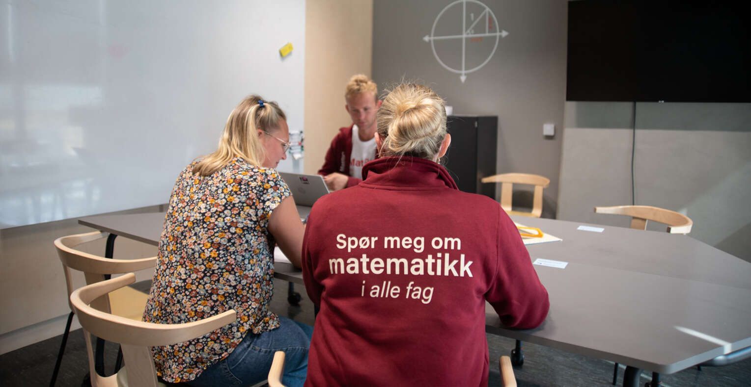 Mentorer med student