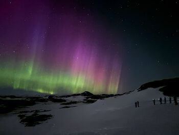 Image may contain: Aurora, geological phenomenon, Winter, Night, Astronomical object.