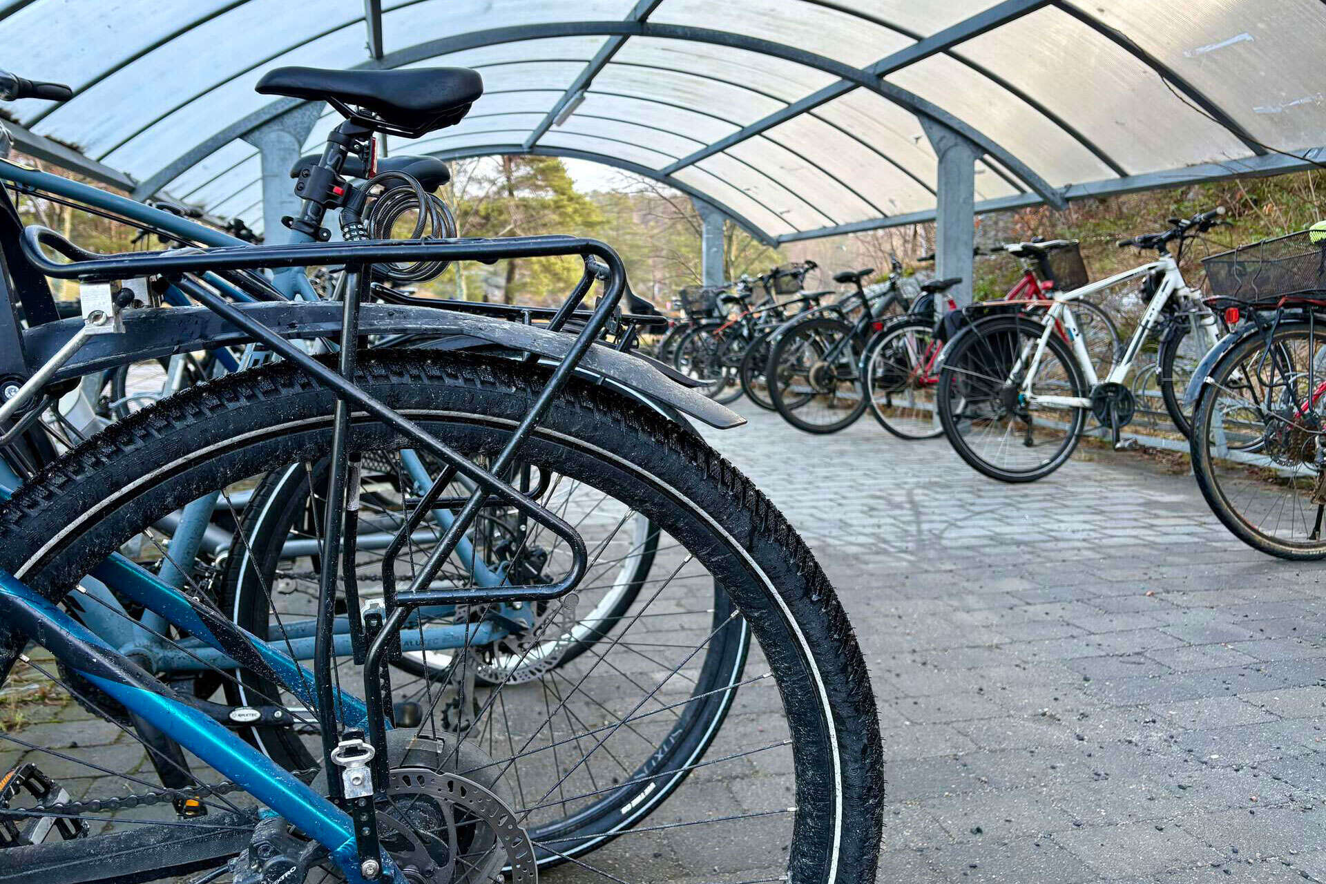 This is an illustration picture of several bikes