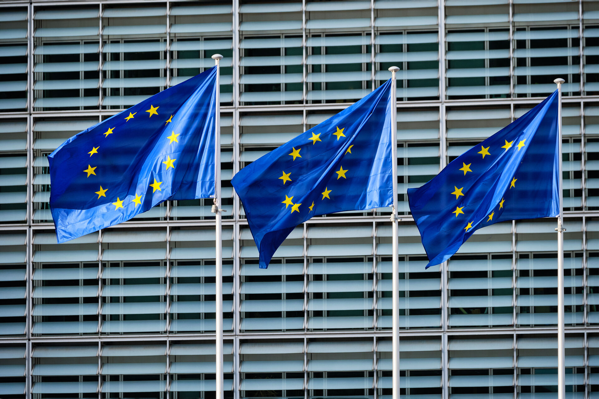 EU flags in front of building