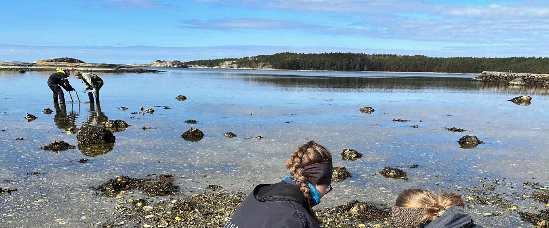 Bilde av feltarbeid i havet