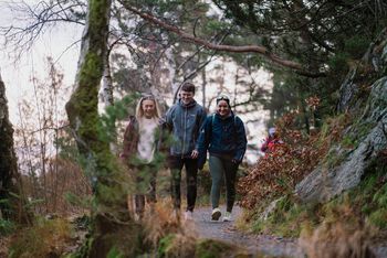 Plant ,Natural landscape ,People in nature ,Tree ,Wood.