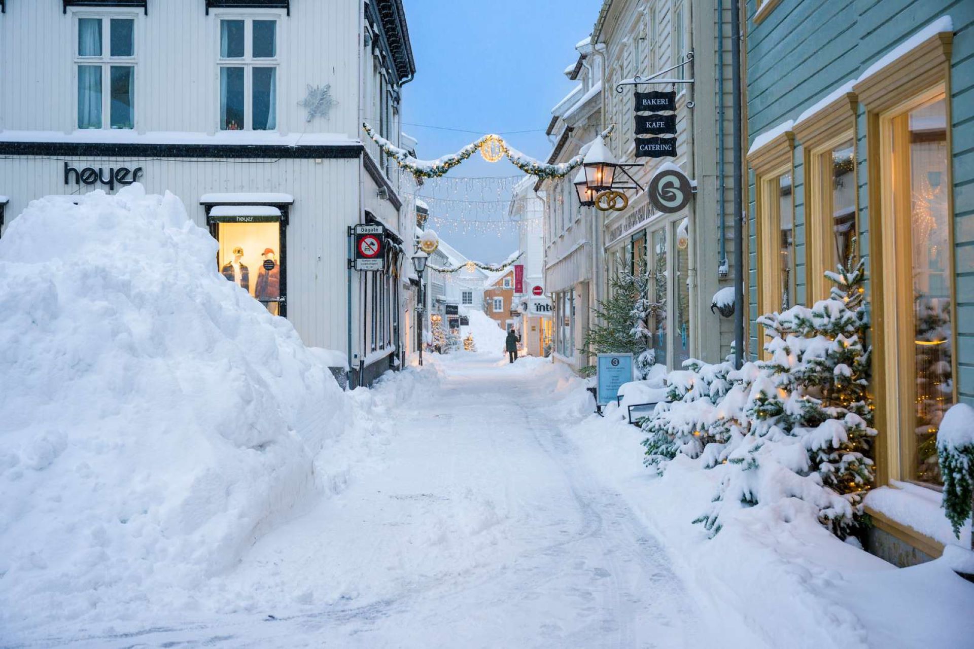 Image may contain: Snow, Window, Building, Sky, Plant.