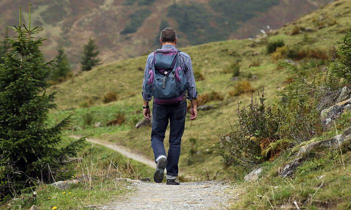 Bildet kan inneholde: plante, plantesamfunn, fjell, mennesker i naturen, høyland.
