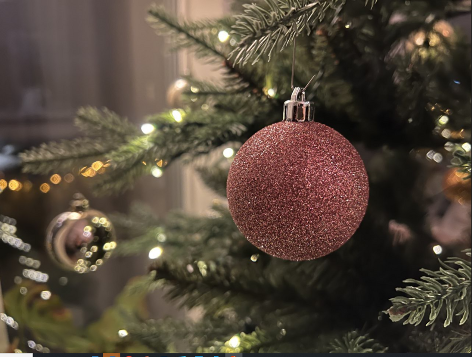 Bildet kan inneholde: juletre, julepynt, anlegg, feriepynt, kvist.