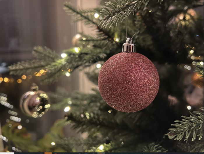 Bildet kan inneholde: juletre, julepynt, anlegg, feriepynt, kvist.