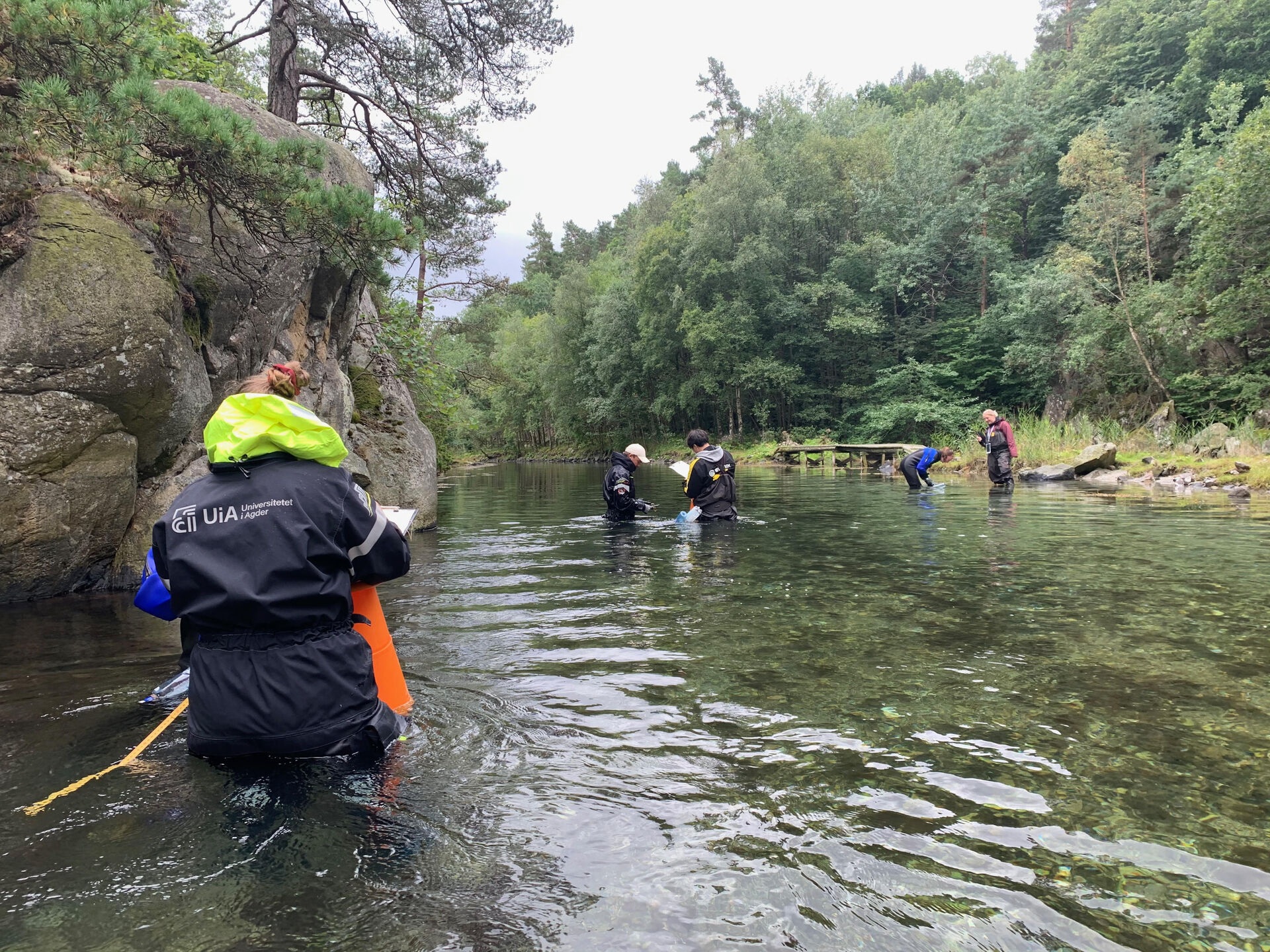 fieldwork dolsvågkilen ccr