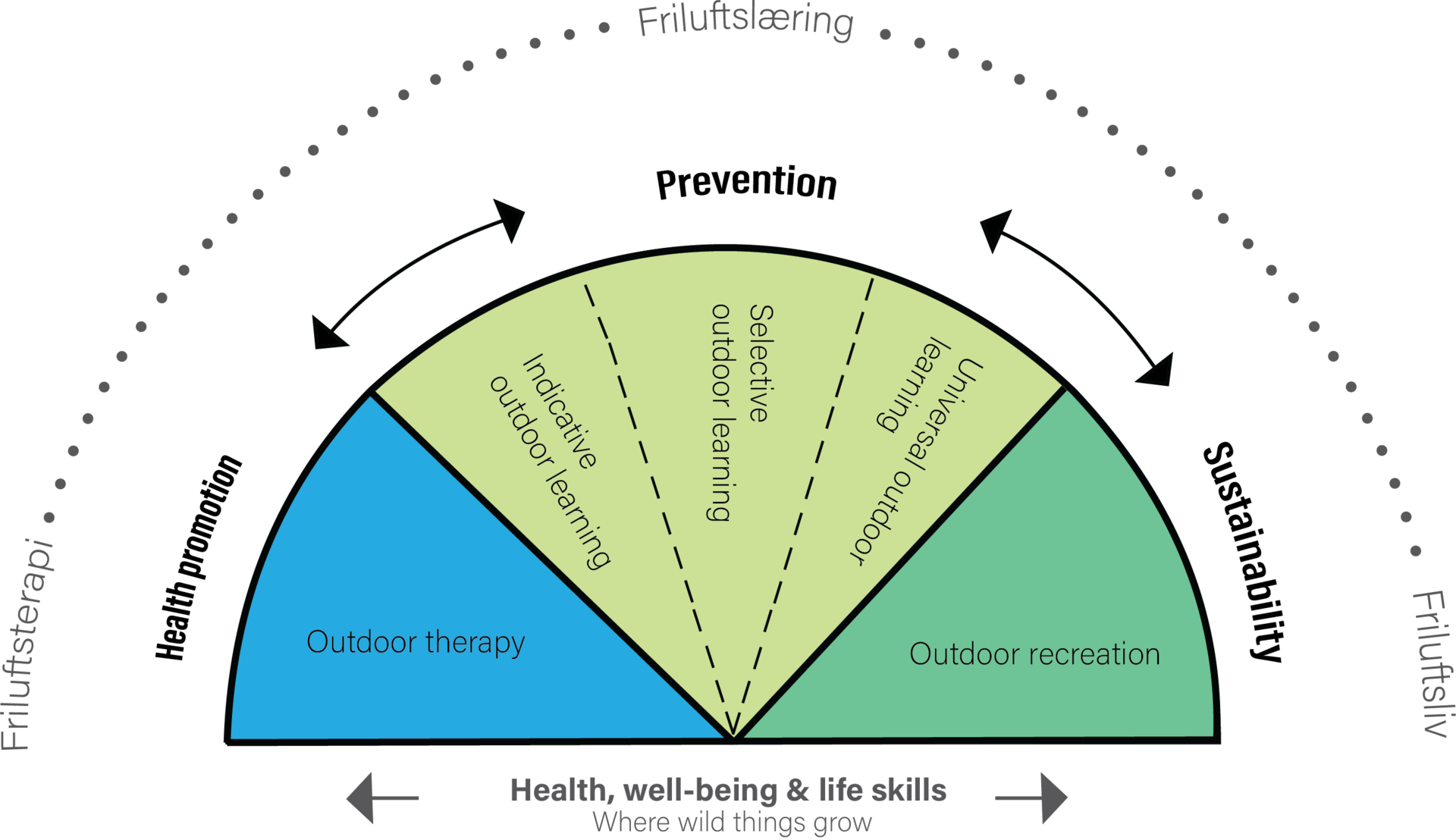 Graphic about health, well-bering and life skills