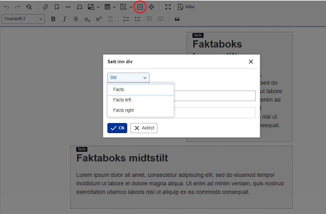 Skjermbilde av hvordan en setter opp en div og lager faktaboks