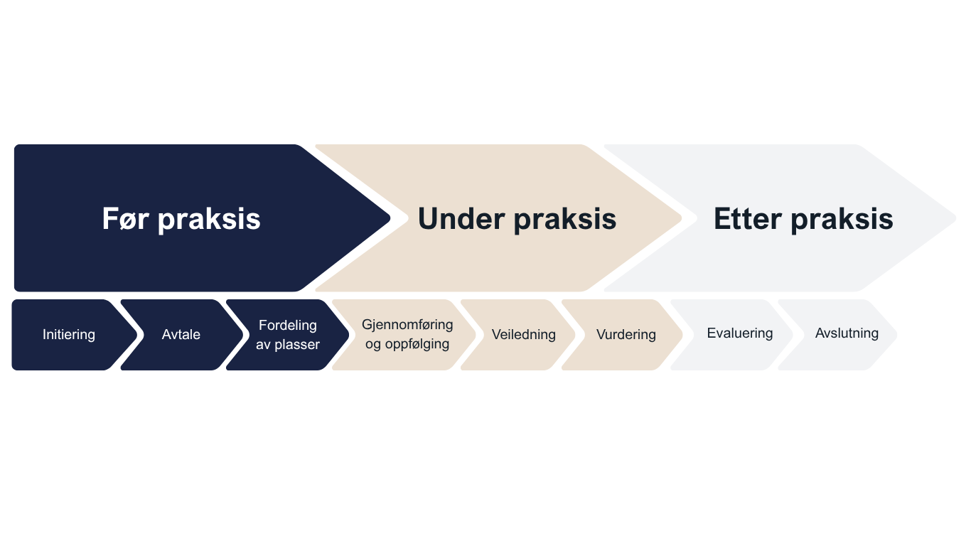 Modell som illustrerer akitviteter som finner sted før, under og etter praksis.