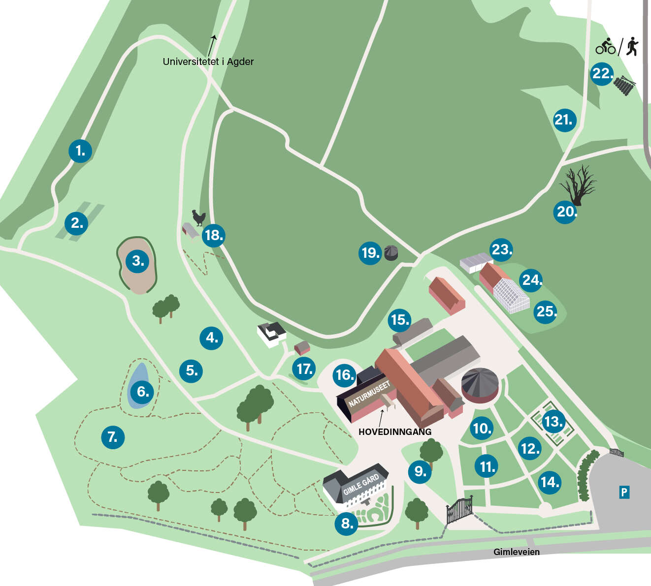 kart over naturmuseum og botanisk hage
