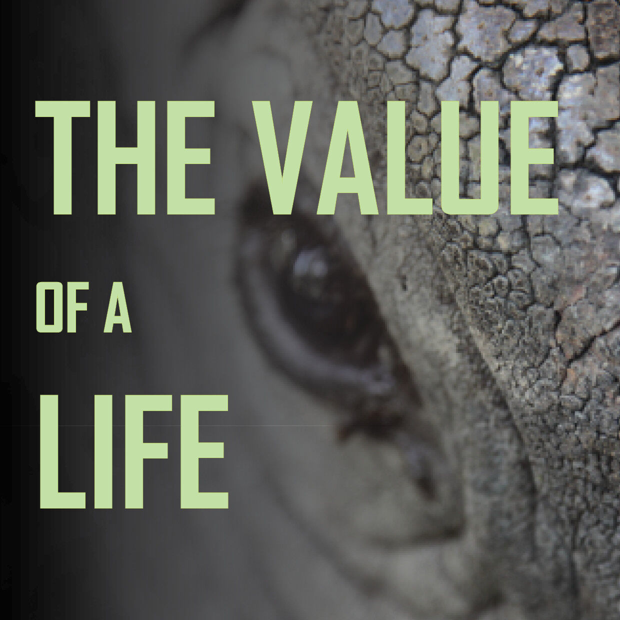 show an eye of a animal with the text "The Value of a Life"