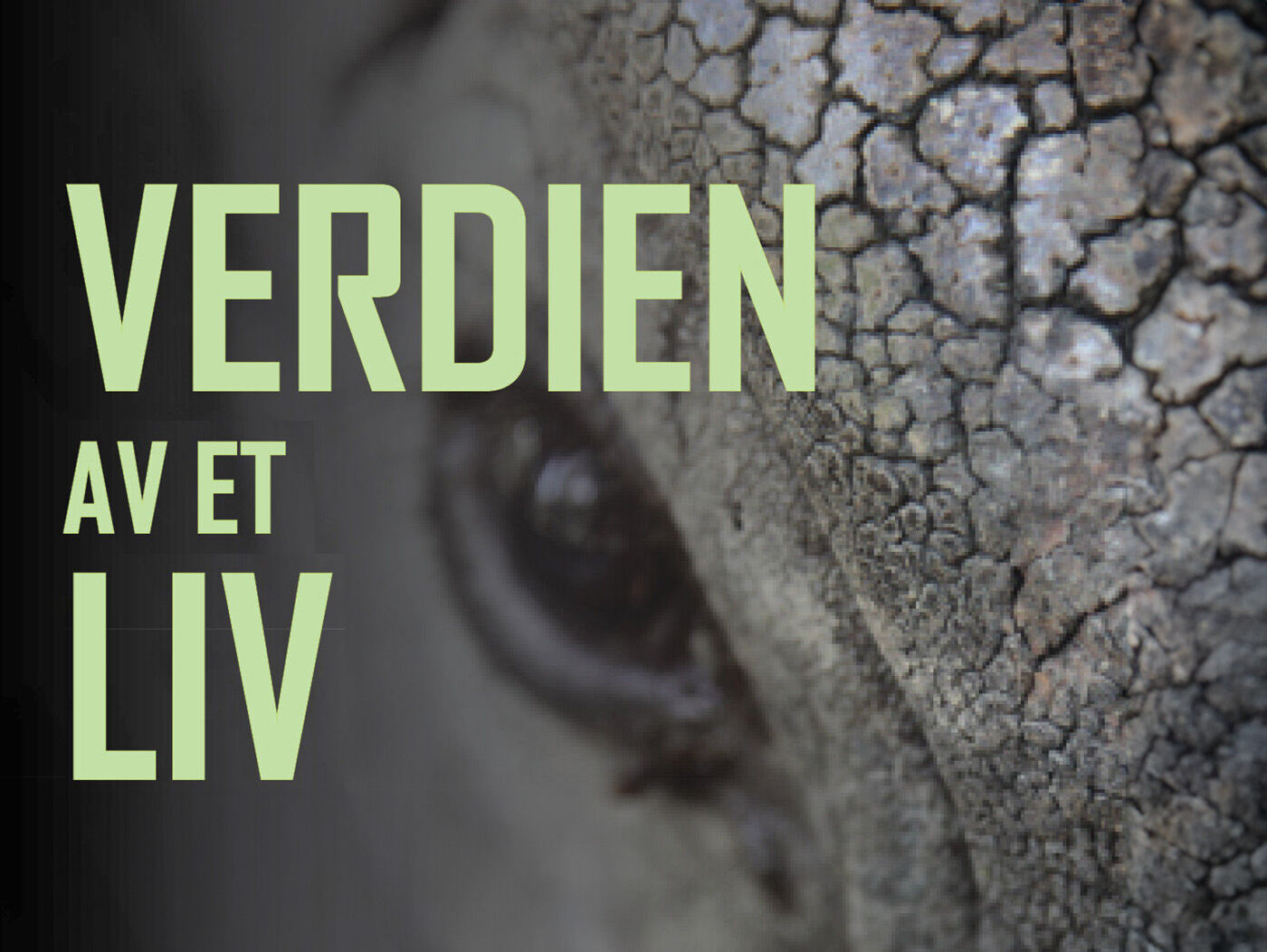 Bildet kan inneholde: tekst, font.