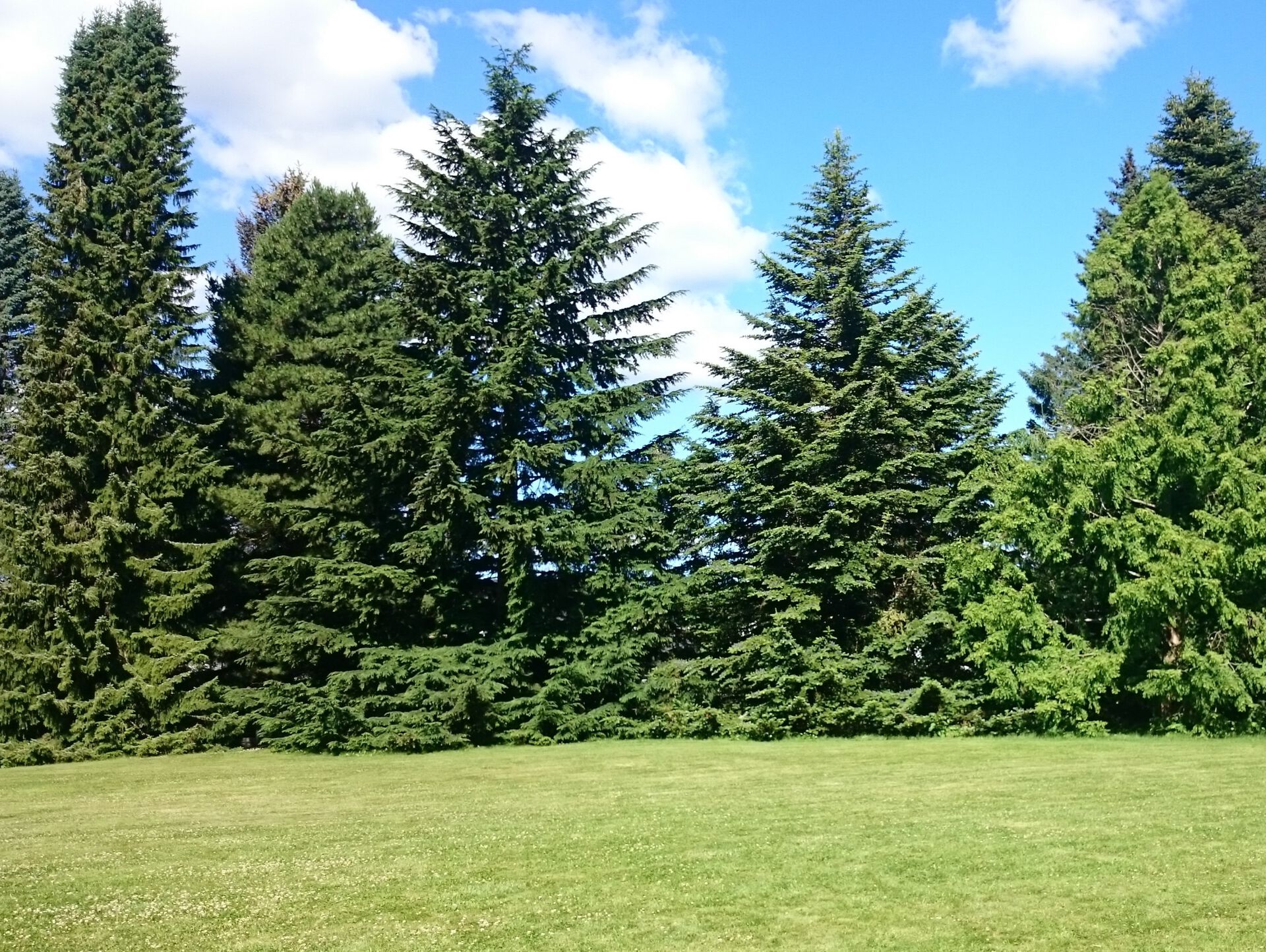 bartrearboretet