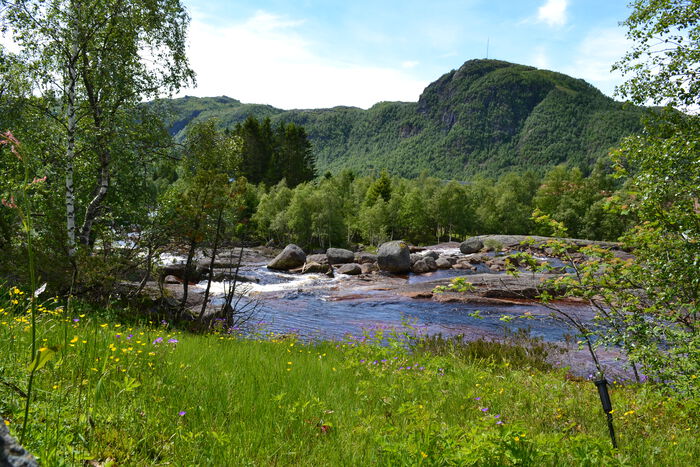 bilde fra ljosland fjellhage