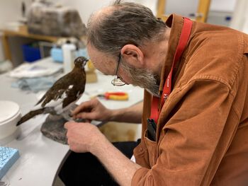 Image may contain: Bird, Engineering, Beak, Science, Table.