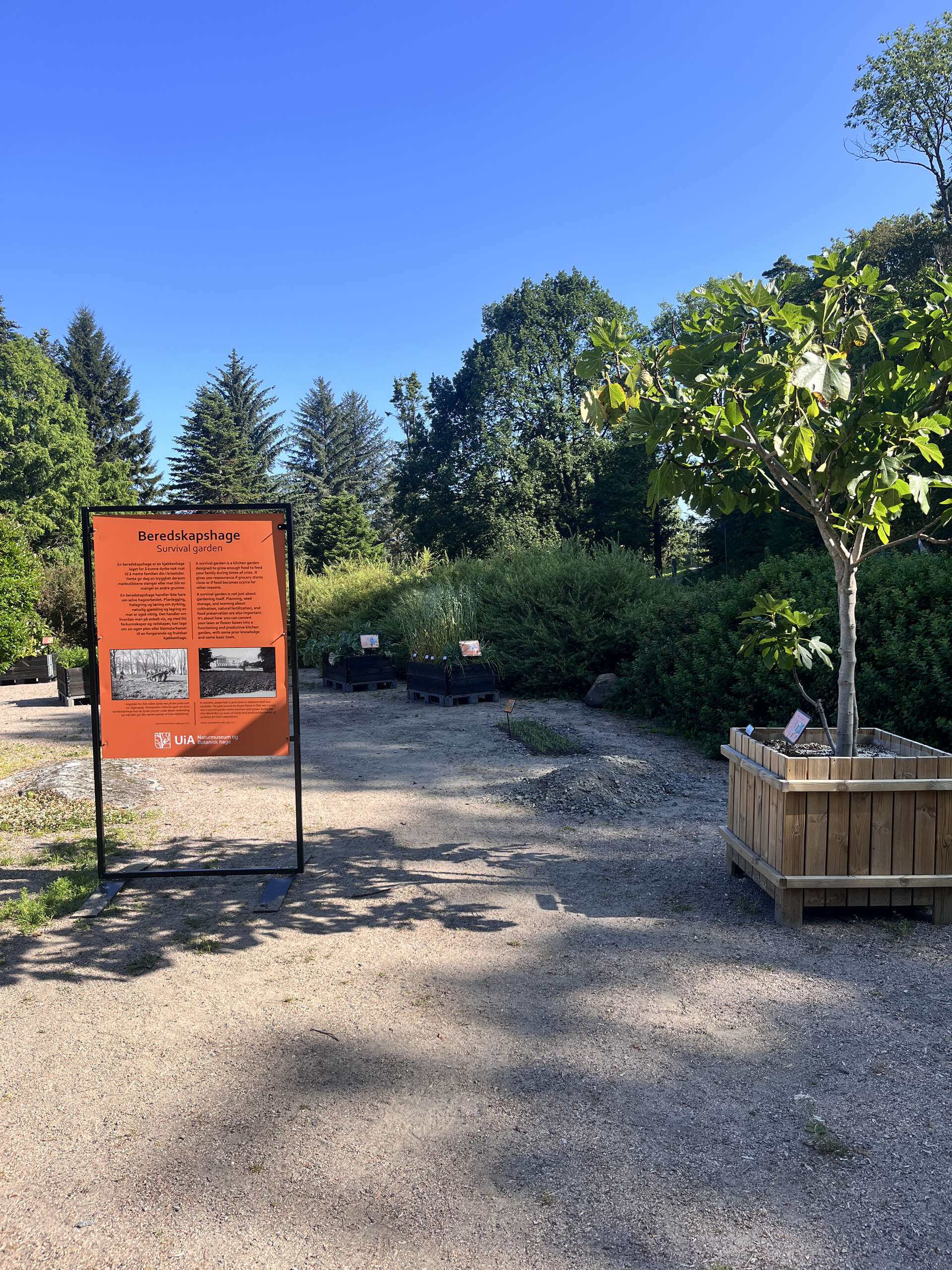 orange sign with bushes and trees in the background