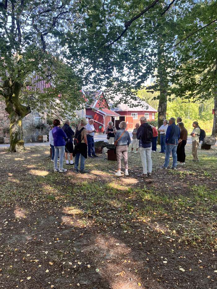 mennesker står i sirkel 
