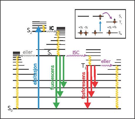 Jablonski-diagram som viser de forskjellige mekanismene når et atom blir eksitert.
