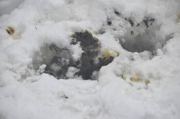 snø ,anlegg ,fryser ,vinter ,gress.