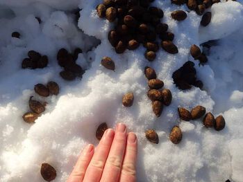 snø ,anlegg ,gest ,fryser ,tommel.