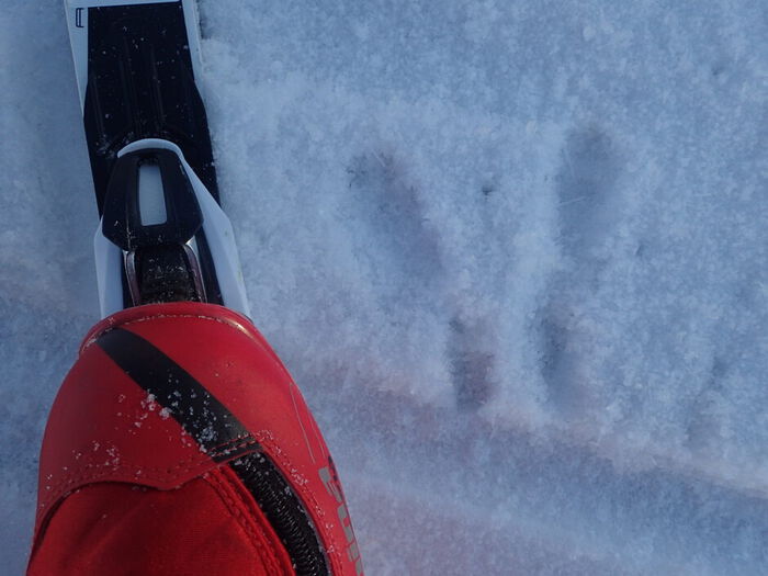 Bildet kan inneholde: hette, bildekk, bilbelysning, snø, bildesign.