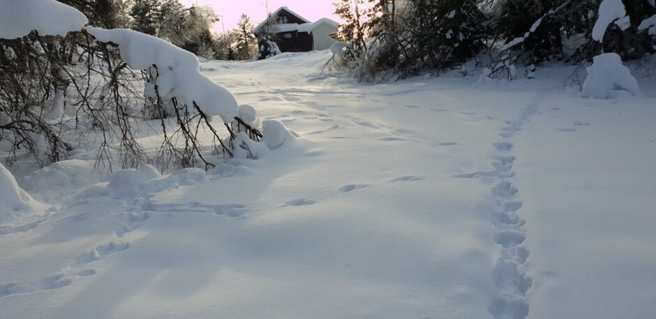 Bildet kan inneholde: dagtid, snø, sollys, fryser, atmosfærisk fenomen.