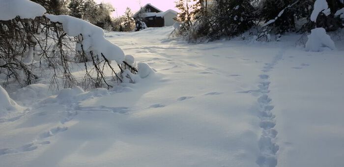 Bildet kan inneholde: dagtid, snø, sollys, fryser, atmosfærisk fenomen.