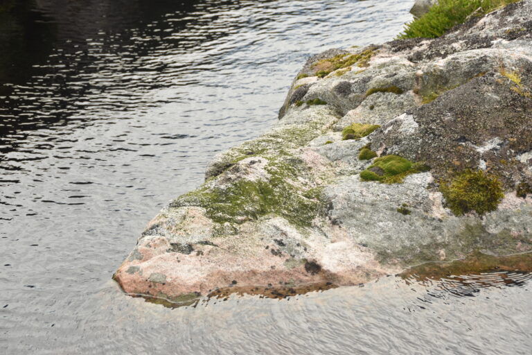 otermarkeringsplass
