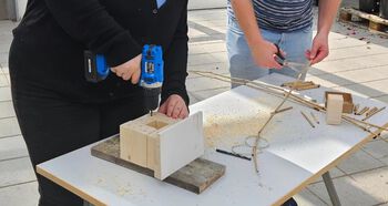 Bildet kan inneholde: tre, gulvbelegg, engineering, komposittmateriale, sauemelk ost.