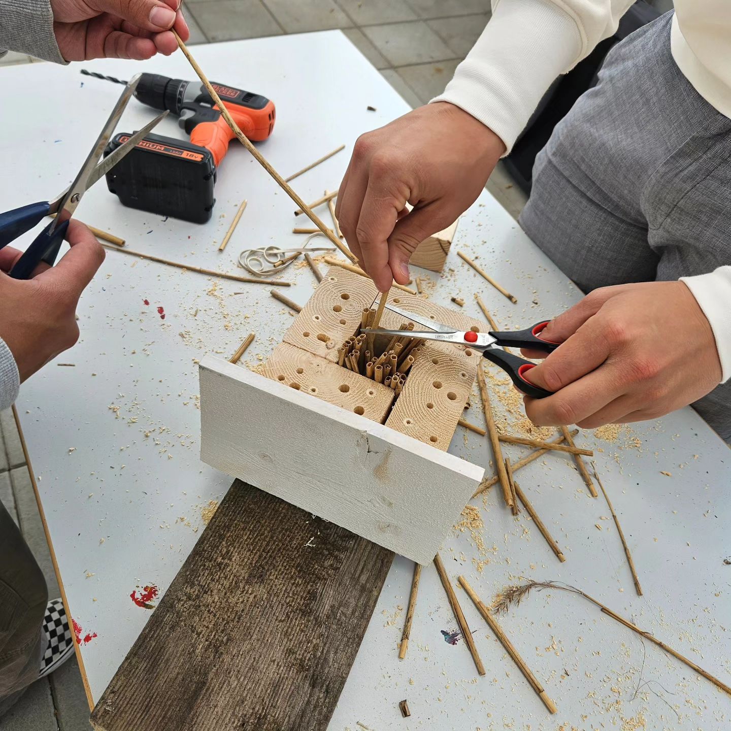 Bildet kan inneholde: hånd, bildesign, elektriker, tre, finger.