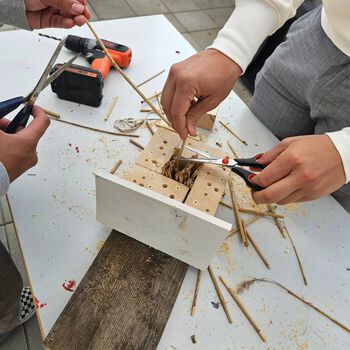 Bildet kan inneholde: hånd, bildesign, elektriker, tre, finger.