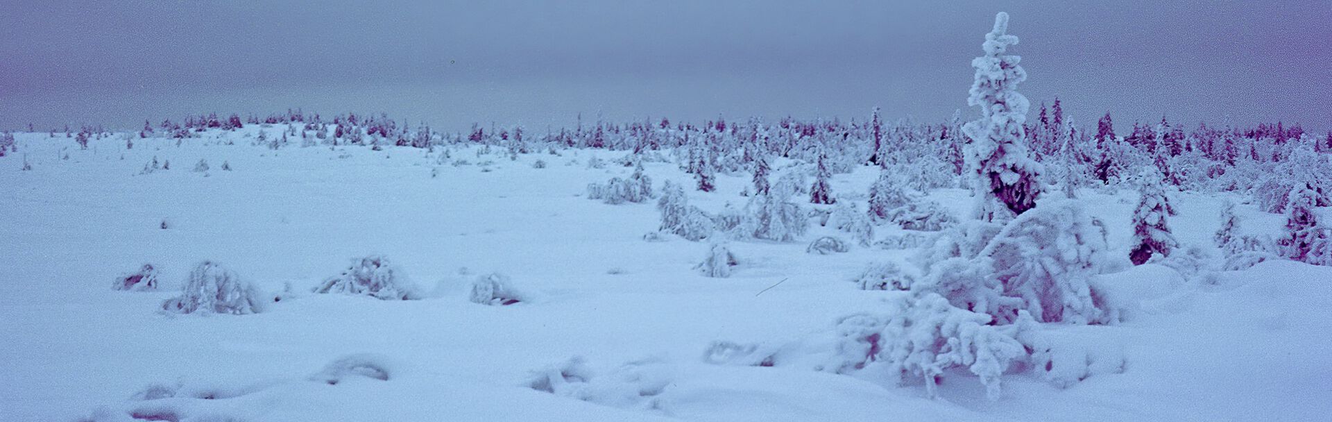 snølandskap