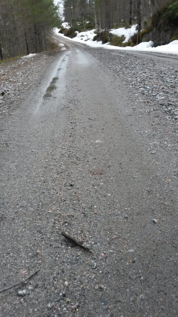salamander på vei. snø i kantene
