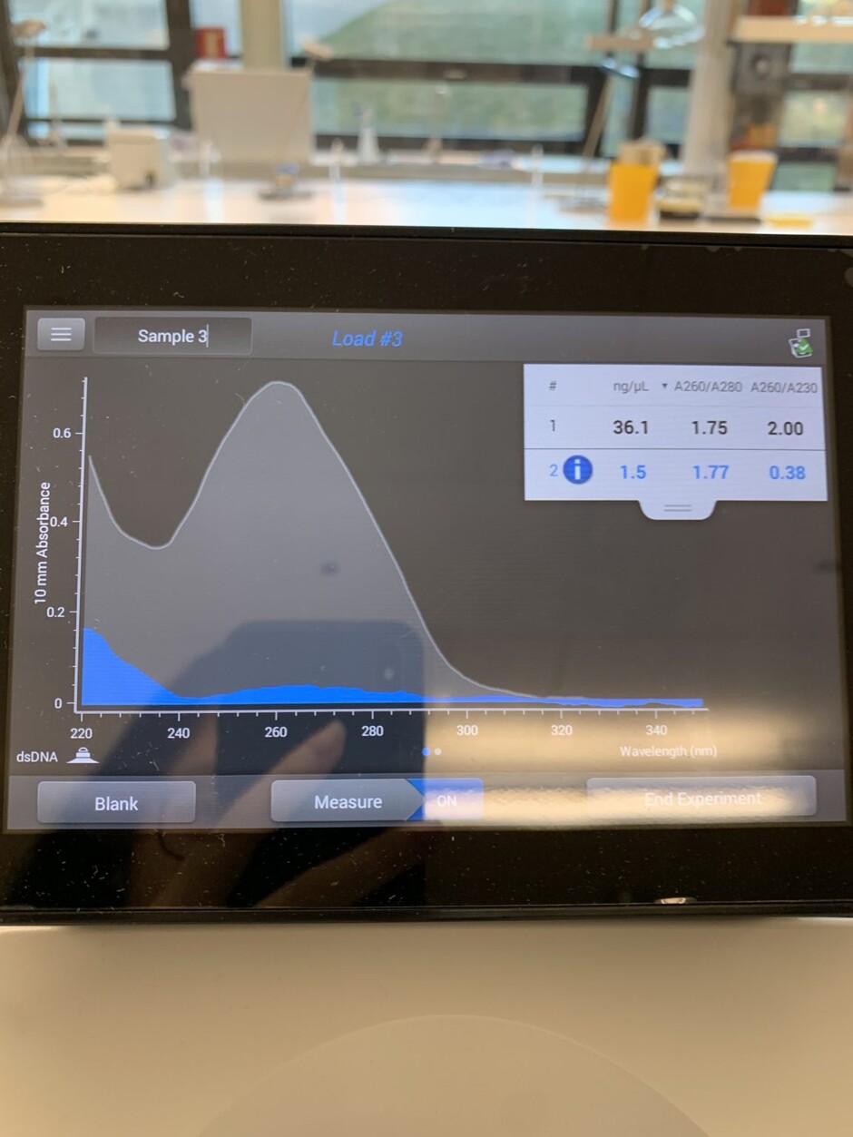 graf på digital skjerm