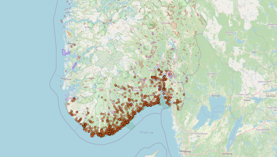 slettsnok utbredelseskart
