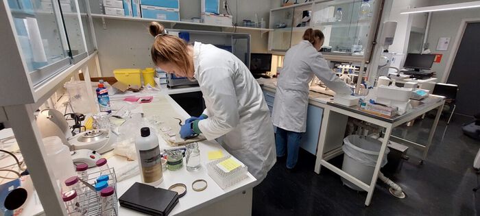 to studenter på slangelab