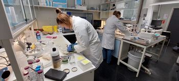 bord ,laboratorium ,forskning ,kjemi ,laboratorieutstyr.