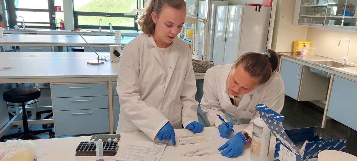 to studenter analyserer resultater