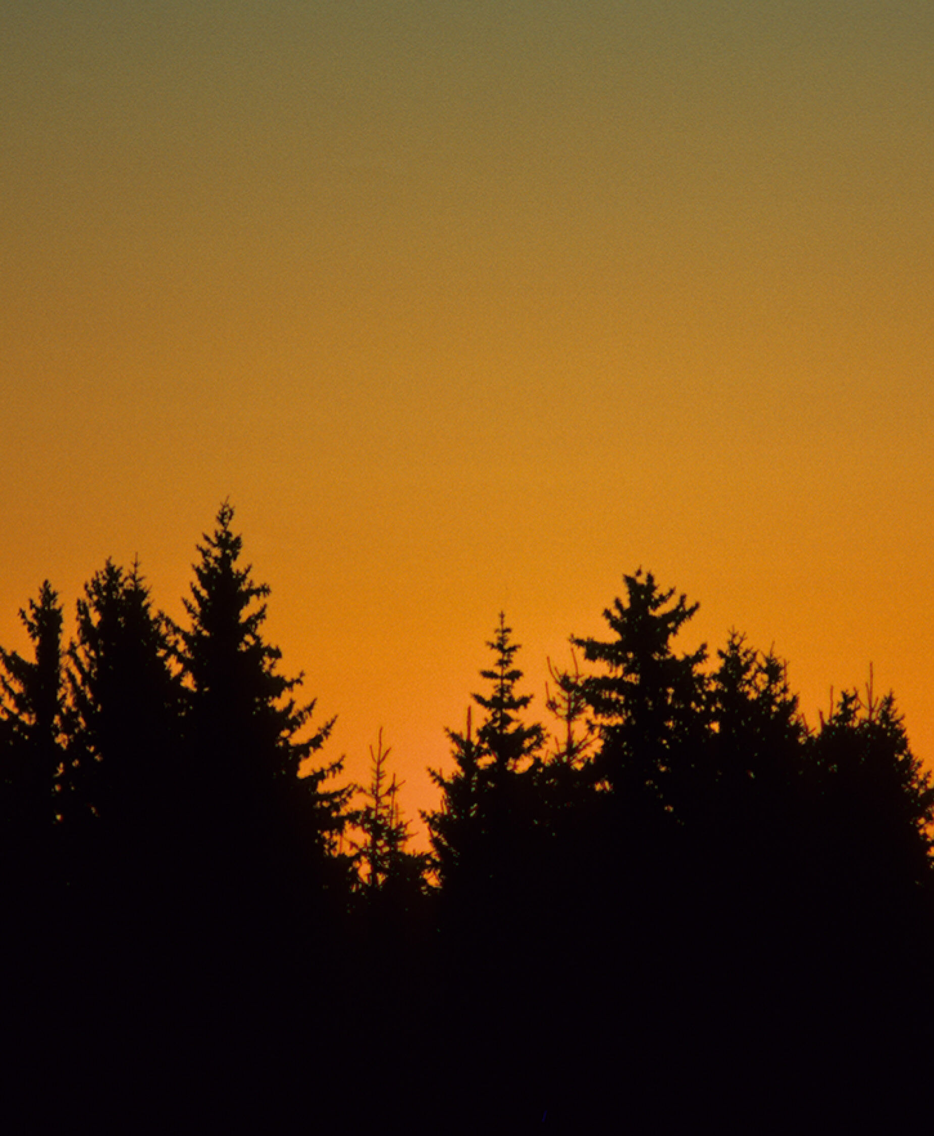 solnedgang