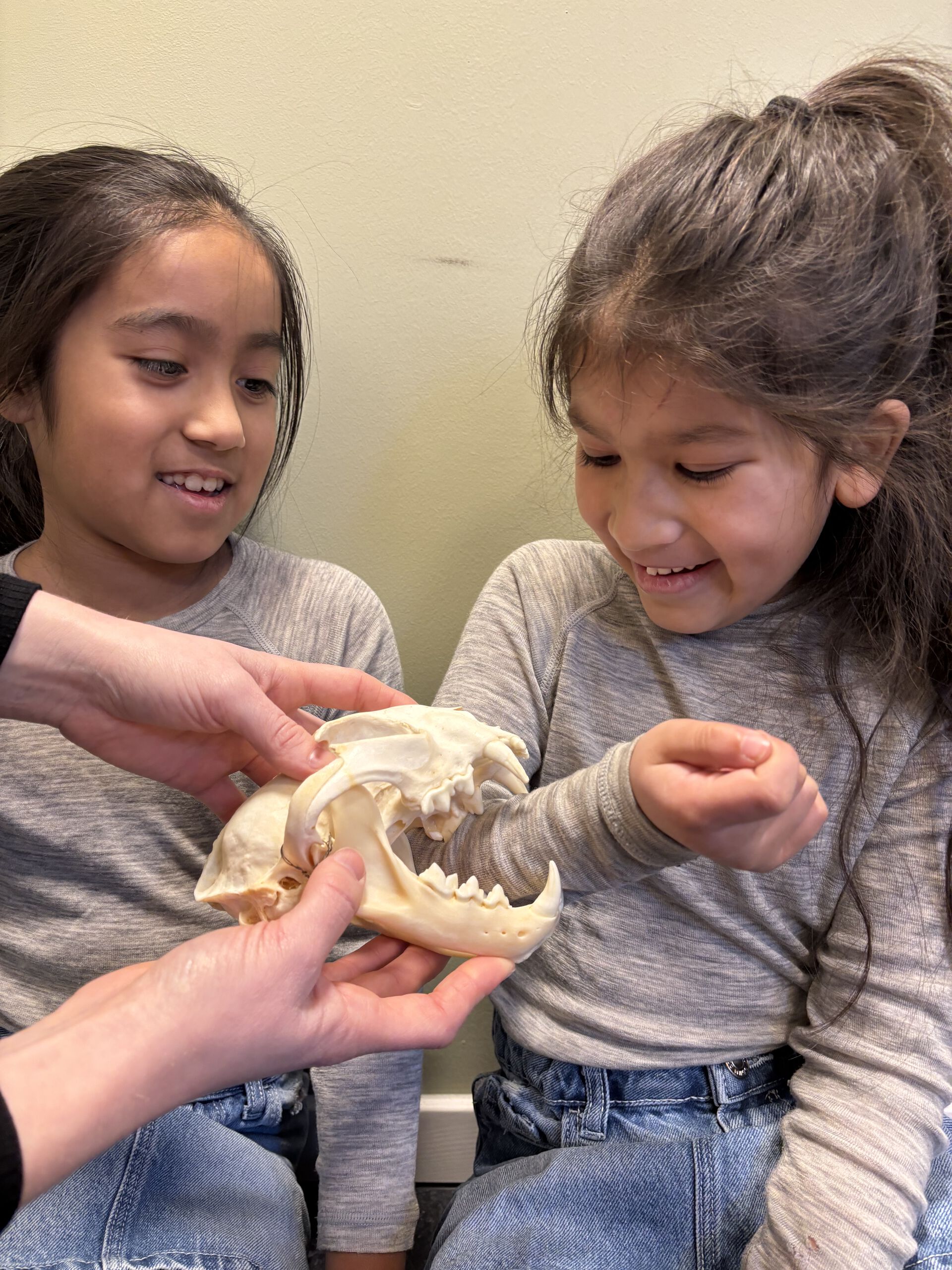 children looking at animalsculs