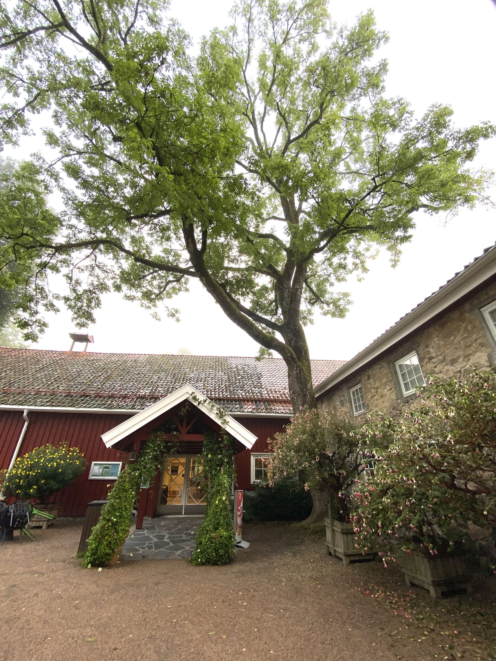 main entrence to the museum