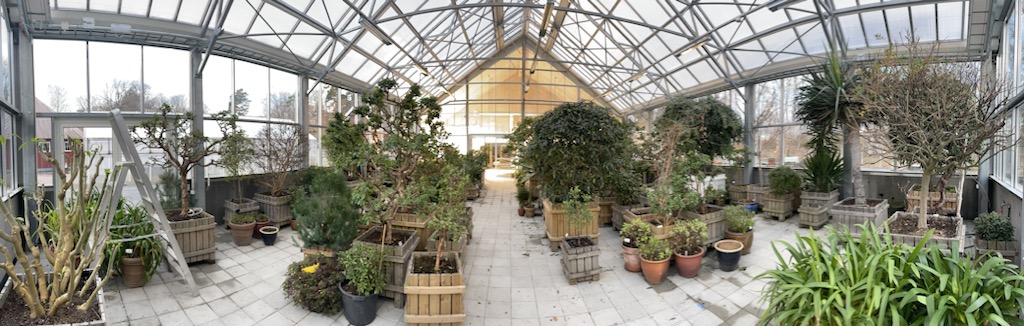 inne i glasshuset/drivhuset