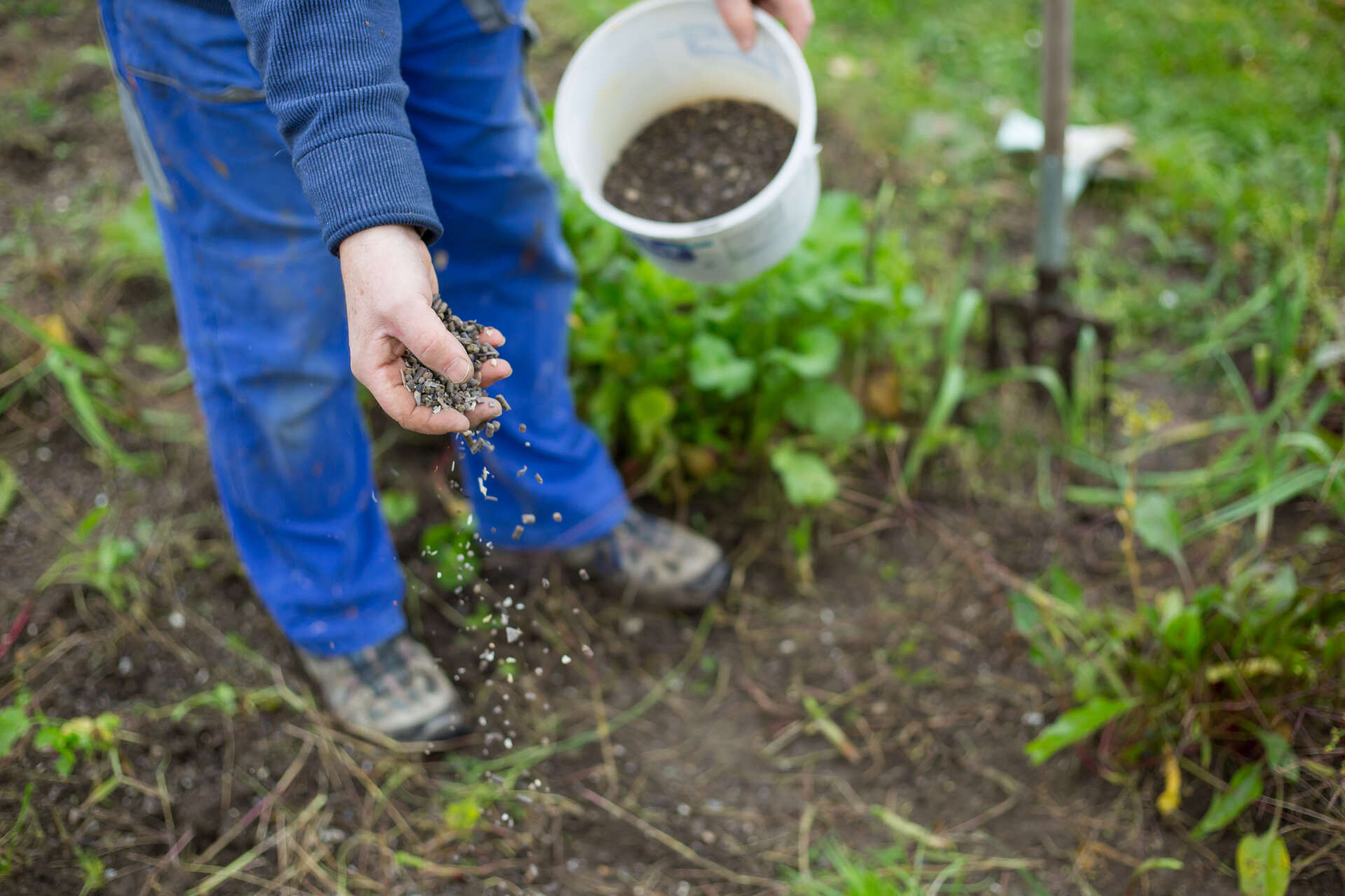 Bildet kan inneholde: hånd, gårdsarbeider, jord, jordbruk, mennesker i naturen.